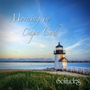 Morning in Cape Cod