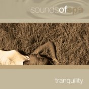 Sounds of Spa: Tranquility