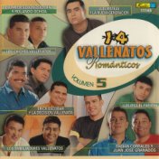 14 Vallenatos Románticos, Vol. 5