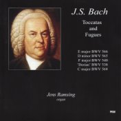 J.S. Bach: Toccatas and Fugues