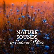 Nature Sounds in Natural Bliss – Pure Relaxation, Reduce Stress, 15 Sounds of Nature, Healing Therapy, Zen Serenity, Lounge Musi...