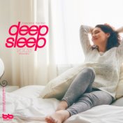 Deep Sleep, Vol. 55 (Relaxation,Relaxing Muisc,Insomnia,Lullaby,Prenatal Care,Healing)