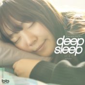 Deep Sleep, Vol. 11