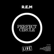 Perfect Circle (Live)