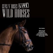 Wild Horses (Live)