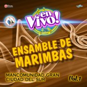 Ensamble de Marimbas. Mancomunidad Gran Ciudad del Sur Vol. 1. Música de Guatemala para los Latinos (En Vivo)