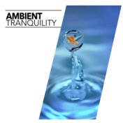 Ambient Tranquility