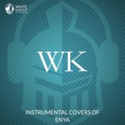 Instrumental Covers of Enya