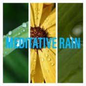Meditative Rain