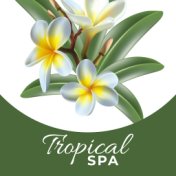 Tropical Spa🌴 (Relax and Unwind with Exotic Spa Music)