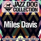 Jazz Dog Collection