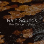 !!" Rain Sounds For Concentration "!!