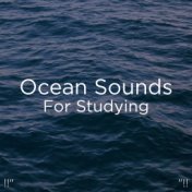 !!" Ocean Sounds For Studying "!!