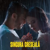 Singura greseala