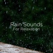 !!" Rain Sounds For Relaxation "!!