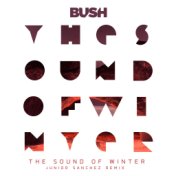 The Sound of Winter (Junior Sanchez Remix)