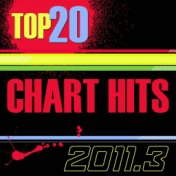 Top 20 Chart Hits 2011_3