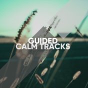 Guided Calm Tracks for Yoga Training