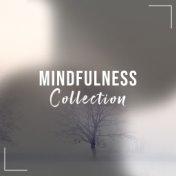#14 Mindfulness Collection for Relaxing Meditation