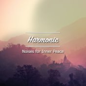 #19 Harmonic Noises for Inner Peace