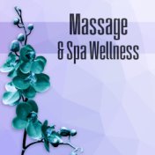 Massage & Spa Wellness - Music and Pure Nature Sounds for Stress Relief, Harmony of Senses, Relaxing Background Music for Spa th...