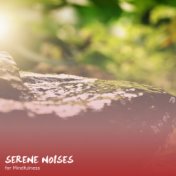 #18 Serene Noises for Mindfulness