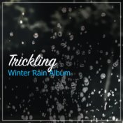 #21 Trickling Winter Rain Album for Natural Sleep Aid