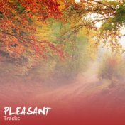 #17 Pleasant Tracks for Meditation, Spa and Relaxation