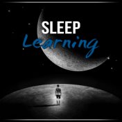 Sleep Learning - Music and Pure Nature Sounds for Stress Relief, Harmony of Senses, Relaxing Background Music for Spa the Wellne...