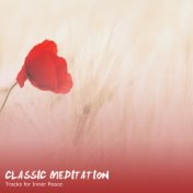 22 Ultimate Classic Meditation Tracks for Inner Peace