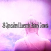 38 Specialised Research Natural Sounds