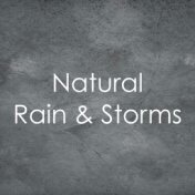 1 Peaceful Hour for You: Rain and Gentle Storms