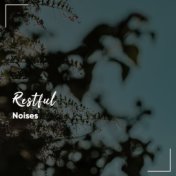 #11 Restful Noises for Meditation