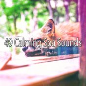 49 Calming Spa Sounds