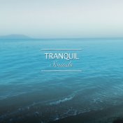 #16 Tranquil Sounds for Calming Yoga Workout