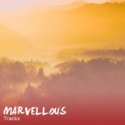 #16 Marvellous Tracks for Meditation