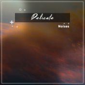 #12 Delicate Noises for Relaxation & Sleep