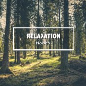 #16 Relaxation Noises to Aid Meditation & Find Calm