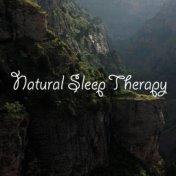 Natural Sleep Therapy