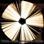 White Noise Research Notes