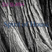 Spirit of House