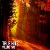 True Hits, Vol. 2