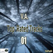 Top Rated Tracks 01