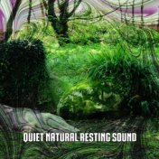 Quiet Natural Resting Sound