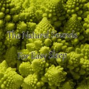 The Natural Sounds For Easy Sleep