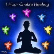 1 Hour Chakra Healing (Chakra Balancing for Meditation with 432HZ Music and Sounds of Nature)