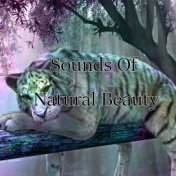 Sounds Of Natural Beauty