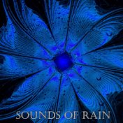 Sounds Of Rain