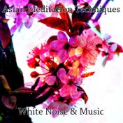 Asian Meditation Techniques White Noise & Music