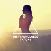 #15 Mindfulness Tracks – Relaxing Music for Yoga, Meditation, Relax Zone, Pure Relaxing Meditation, Inner Harmony, Meditation Mu...